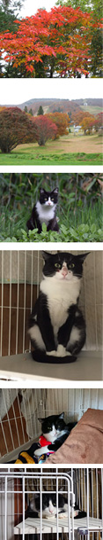 季節の山形